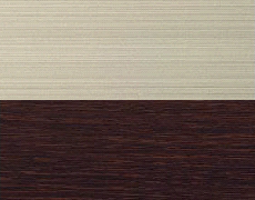 ステンカラー＋セピアブラウン