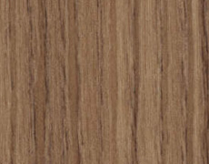 シナモンエルム