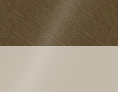 ステインウォールナット(木目調)＋プラチナステン